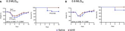 Oral intake of heat-killed Lactiplantibacillus pentosus ONRICb0240 partially protects mice against SARS-CoV-2 infection